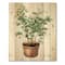 Designart - Ficus Benjamina In Clay Flowerpot - Traditional Print on Natural Pine Wood
